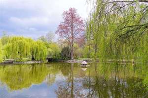 Property thumbnail 13