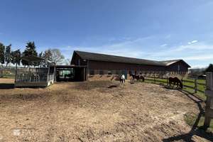 ***Mehrfamilienhaus & Exklusiver Pferdehof mit Reitanlage auf ca 21.000 m² Grundstück*** – Die vollständige Adresse der Immobilie erhältst du vom Anbieter., 37574 Einbeck – Vorschaubild 26