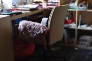 wieviel ist dir Freiheit Wert? EFH  in exponierter Lage PV , Brunnen, Wald, Weiher,gr Halle, carport – Die vollständige Adresse der Immobilie erhältst du vom Anbieter., 92271 Freihung – Vorschaubild 27