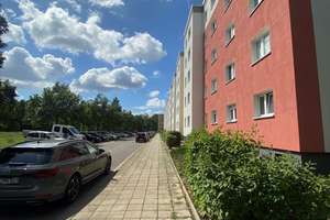 Klein aber fein! Frei ab sofort! / Small but nice! Available right away!