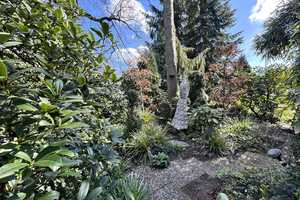Gartenidylle trifft Wohnkomfort – Gepflegtes Reihenmittelhaus mit parkähnlichem Traumgarten & Teich – Recklinghausen (Kreis) – Vorschaubild 47
