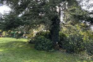  Ein Einfamilienhaus mit besonderem Charme, eingebettet in einen herrlich eingewachsenem Garten – Brockenberg 6, 45549 Sprockhövel – Vorschaubild 25