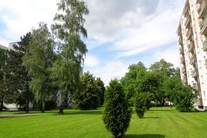 Property thumbnail 6