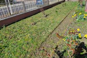 Profi Concept: EFH mit großzügigem Garten und vielseitigem Entwicklungspotenzial in Langen – Egelsbacher Strasse 24, 63225 Langen (Hessen) – Vorschaubild 38