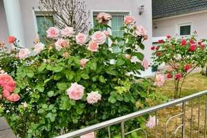 LICHTDURCHFLUTETES FOYER & KAMIN - MODERN & ELEGANT - SCHÖN ANGELEGTER GARTEN & DOPPELGARAGE – Sanddornweg 5 pt, 14624 Dallgow-Döberitz – Vorschaubild 10