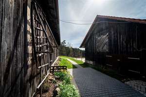 Wo Ruhe auf Natur trifft – charmantes Landhaus mit Pferdestall, Fischweiher und 3,6 Hektar – Die vollständige Adresse der Immobilie erhältst du vom Anbieter., 94575 Windorf – Vorschaubild 14