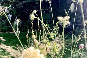 Zweifamilienhaus mit verwunschenem Garten in Bielefeld-Schildesche – Bielefeld – Vorschaubild 26