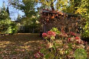 ** EIN-familienhaus Traum ** 5 Zimmer ** ca. 311 qm Grundstück ** Garten mit altem Baumbestand ** – Marloffsteiner Straße 82, 90411 Nürnberg – Vorschaubild 6