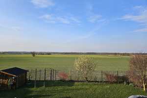 Friesenperle in Feldrandlage – Wolfskuhle 14, 38462 Helmstedt (Kreis) – Vorschaubild 28