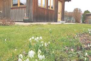 Gepflegtes Holzhaus auf 580qm Gartengrundstück nahe Karlsfelder See! – Dachau (Kreis) – Vorschaubild 2