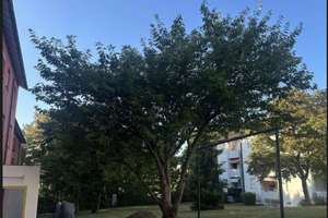 Charmante 3 Zimmer-Etagenwohnung mit Balkon, Garage und Außenstellplatz - sofort bezugsfrei! – Die vollständige Adresse der Immobilie erhältst du vom Anbieter., 71034 Böblingen – Vorschaubild 3