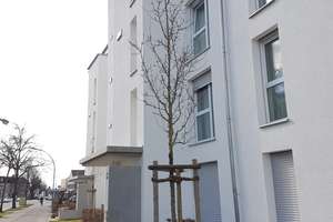 Nur mit WBS III**Helle 3 ZKB mit Balkon in Augsburg-Haunstetten – Landsberger Straße 49 1/2, 86179 Haunstetten-West, Augsburg – Vorschaubild 11