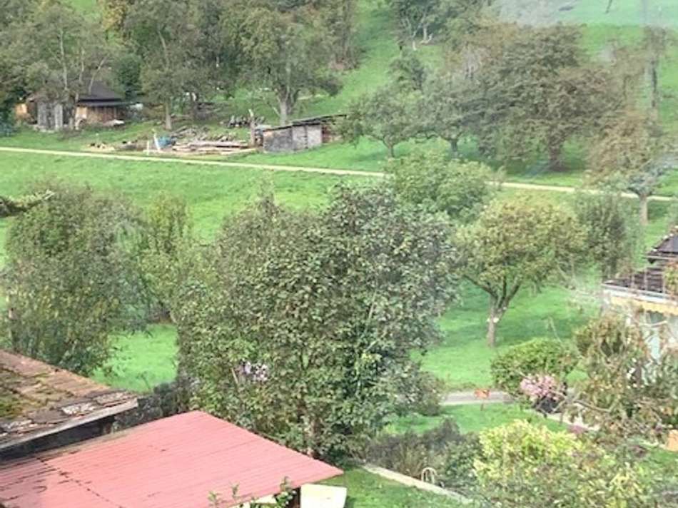 Blick von der Küche
