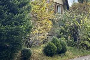 Naturidyll: Einzigartiges Doppelhaus mit Charme und Charakter in traumhafter Lage – Holzwaldstrasse 26, 77776 Bad Rippoldsau-Schapbach – Vorschaubild 10