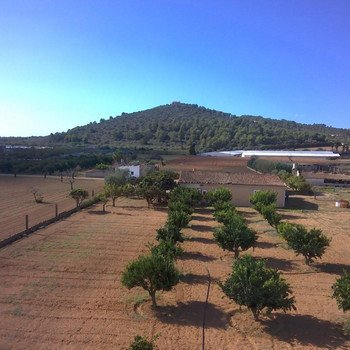 Immobilien zum Verkauf in Porreras