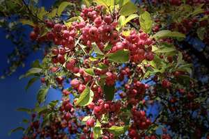 Property thumbnail 14