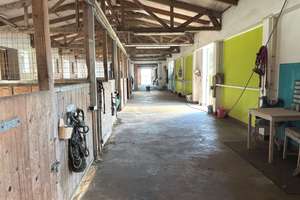 Traumhafter Resthof: 4 Wohneinheiten, Stall bis zu 12 Boxen mit eigenem Reitplatz in Hohenkirchen – Die vollständige Adresse der Immobilie erhältst du vom Anbieter., 23968 Hohenkirchen – Vorschaubild 23