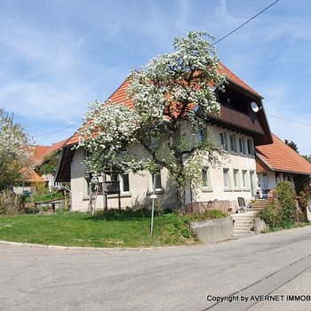 +++ AVERNET - EHEMALIGES BAUERNHAUS IN STRITTMATT MIT MODERNER IT UND VIEL PLATZ FÜR IHR HOBBY +++