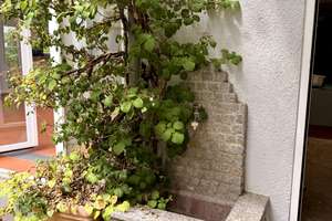 Charmantes Familiendomizil in einer der begehrtesten Lagen Darmstadts – Die vollständige Adresse der Immobilie erhältst du vom Anbieter., 64287 Darmstadt-Ost, Darmstadt – Vorschaubild 55