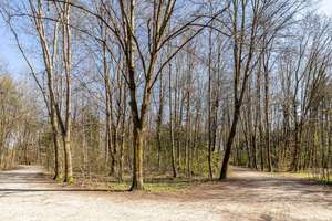 Property thumbnail 23