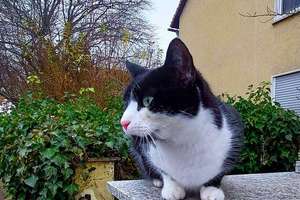 Property thumbnail 14