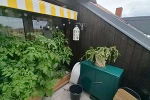 Großzügige Dachgeschosswohnung mit Kamin und Gartenparzelle in Borsigwalde als Kapitalanlage – Miraustr. 77, 13509 Borsigwalde, Berlin – Vorschaubild 2