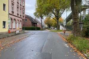 Stark sanierungsbedürftigen Mehrfamilienhaus mit hohen Steigerungspotenzial – Steinhausstraße 65, 44866 Bochum – Vorschaubild 7