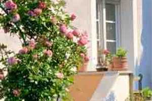 Zweifamilienhaus mit verwunschenem Garten in Bielefeld-Schildesche – Bielefeld – Vorschaubild 22