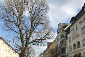 CHEMNITZ-KASSBERG! SCHMUCKE SINGLEWOHNUNG ZUR KAPITALANLAGE! – Die vollständige Adresse der Immobilie erhältst du vom Anbieter., 9112 Kaßberg, Chemnitz – Vorschaubild 8