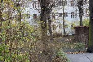 Prenzlauer Berg | 2-Zimmer-Wohnung mit Loggia und großem begrünten Innenhof – Stahlheimer Str 6a, 10439 Prenzlauer Berg, Berlin – Vorschaubild 6