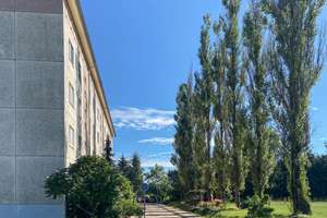 "Auengrund" - Wohnen direkt am Feldrand im Grünen