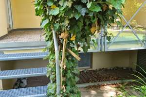 2,5-Raum ETW in Dresden Weißig – Die vollständige Adresse der Immobilie erhältst du vom Anbieter., 1328 Weißig, Dresden – Vorschaubild 4