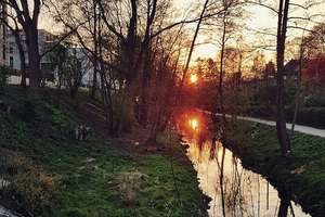 Property thumbnail 30