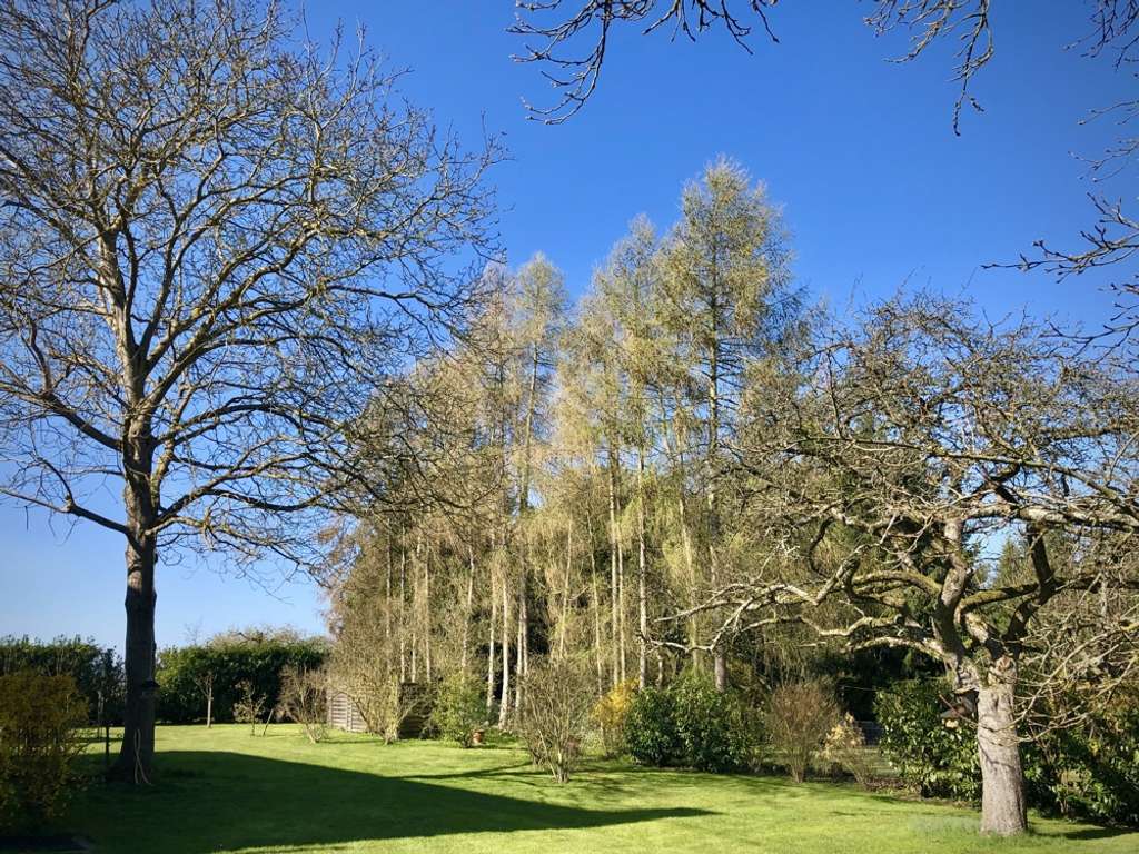 Immobilie in Beulich - Alter Charme & neue Technik:
Familien-Traum in Grünlage - Bild 4