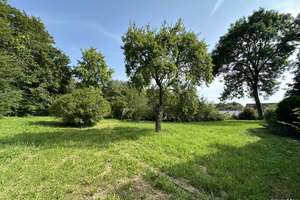 Freistehendes Einfamilienhaus mit parkähnlichem 
Anwesen und Waldgrundstück! – Die vollständige Adresse der Immobilie erhältst du vom Anbieter., 72589 Westerheim – Vorschaubild 22