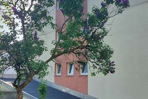 Reserviert!!! Ruhig gelegenes 1-Zimmer-Apartment mit Potential im Fasangarten! – Die vollständige Adresse der Immobilie erhältst du vom Anbieter., 81549 Südgiesing, München – Vorschaubild 7