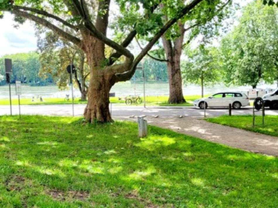 Rheinpromenade bei der Wohnung