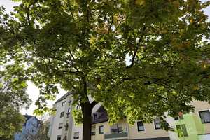 IHRE neue TOP-Wohnung ** 2 Zimmer ** 67 qm ** Balkon ** Tiefgarage ** zentrale Lage in Nürnberg ** – Nürnberg – Vorschaubild 25