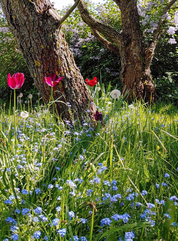 Immobilie in Großweitzschen - Großzügiges Einfamilienhaus auf idyllischem Grundstück und vielseitigen Nutzungsmöglichkeiten - Bild 2