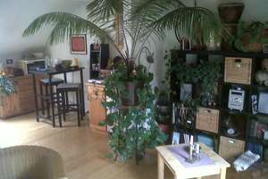 Schmuckstück 1 Zimmer DG-Apartment Aachen Innenstadt – Johanniterstr. 13, 52064 Lindenplatz, Aachen – Vorschaubild 6