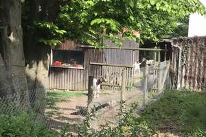 Wohnung/Anbau am Volkspark auf dem Lerchenbuckel