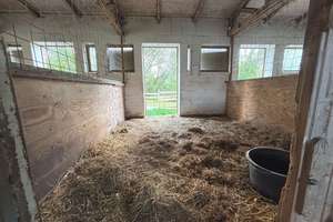 Traumhafter Resthof: 4 Wohneinheiten, Stall bis zu 12 Boxen mit eigenem Reitplatz in Hohenkirchen – Die vollständige Adresse der Immobilie erhältst du vom Anbieter., 23968 Hohenkirchen – Vorschaubild 24
