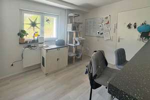 Grundlegend sanierte, freundliche Wohnung im Untergeschoss mit Gärtchen! – Die vollständige Adresse der Immobilie erhältst du vom Anbieter., 55120 Mombach, Mainz – Vorschaubild 2
