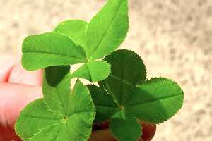 Property thumbnail 44