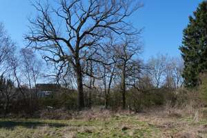 ERFÜLLEN SIE SICH DEN TRAUM VOM EIGENHEIM IM GRÜNEN !!! – Die vollständige Adresse der Immobilie erhältst du vom Anbieter., 44267 Holzen, Dortmund – Vorschaubild 13