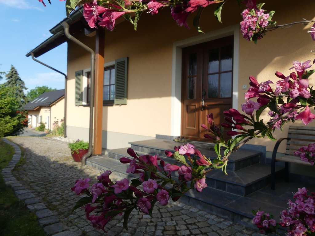 Immobilie in Markneukirchen - Kleinod im oberen Vogtland - modernes Wohnhaus, neues Nebengebäude Carports, Stallungen uvm. - Bild 0