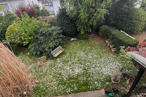 DOPPELHAUSHÄLFTE WEINHEIM – Die vollständige Adresse der Immobilie erhältst du vom Anbieter., 69469 Weinheim – Vorschaubild 4