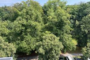 Sanierter Altbau im östlichen Ringgebiet – Herzogin-Elisabeth-Str.  23, 38102 Östliches Ringgebiet, Braunschweig – Vorschaubild 10