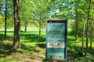 Sonniges und helles 3 Zimmer Juwel direkt am Ostpark - Tiefgaragenstellplatz inklusive - frei ! – Die vollständige Adresse der Immobilie erhältst du vom Anbieter., 81735 Neuperlach, München – Vorschaubild 7