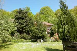 Ein Juwel am Wald! Wer den Wald und die Natur liebt ist hier genau richtig. – Osterode am Harz (Kreis) – Vorschaubild 26